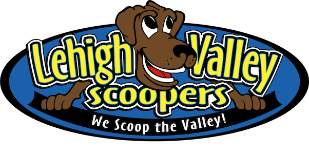 Lehigh Valley Scoopers