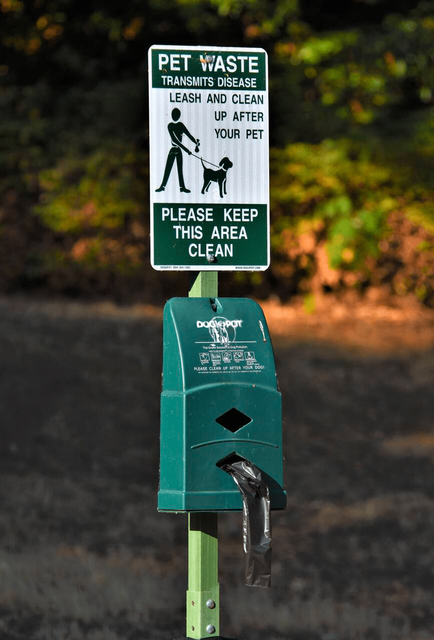Read more about the article The Importance of Regular Dog Waste Removal